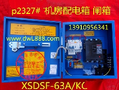 电梯机房配电箱/闸箱/XSDSF-63A/KC/电梯机房闸箱/电梯电源箱挂锁