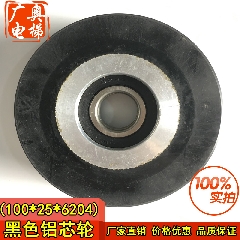 扶梯铝芯轮  100*25*6204 江南嘉捷  扶梯铝芯轮