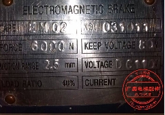 电梯制动器 蒙特纳利 EM02  6000N ZTW-S DC110 电梯抱闸 制动器